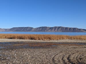 Garden City Park photo 2