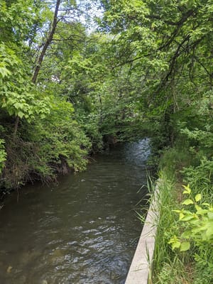 Garff Wayside Gardens photo 3