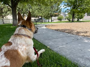 Gateway Park photo 3