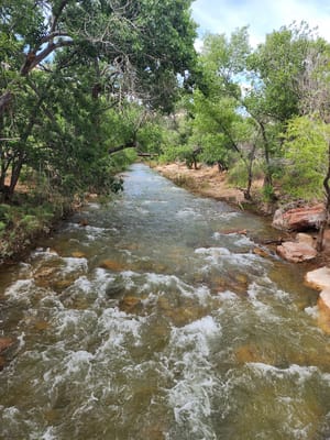 George Barker River Park photo 3