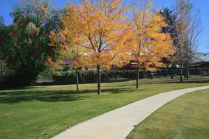 George Van-Leewen Park photo 3