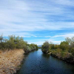 Germania Park photo 2