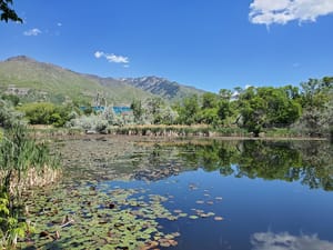 Glasmann Pond photo 1