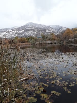 Glasmann Pond photo 3