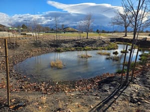 Glendale Regional Park photo 2