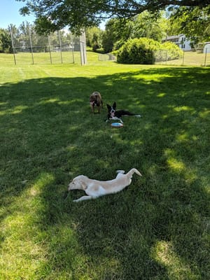 Grandview Park photo 3