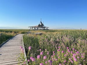 Great Salt Lake Shorelands Preserve