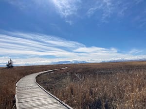 Great Salt Lake Shorelands Preserve photo 2