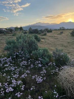 Harvest Hills Nature Park