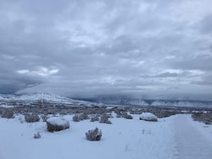 Harvest Hills Nature Park photo 3