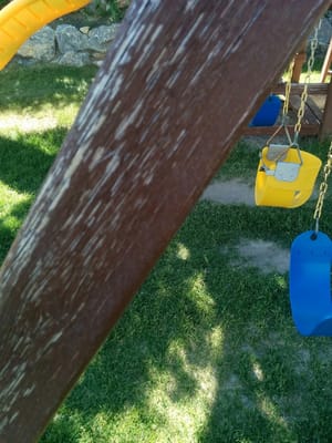 Harvest Moon Park photo 3