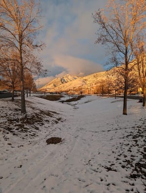 Heiselt's Hollow Park photo 2