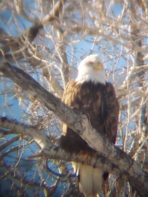 Henefer Pioneer Park photo 3