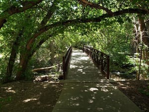 Hidden Hollow photo 3