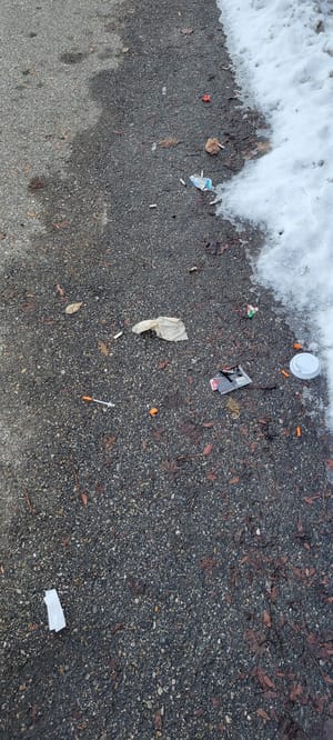 Hidden Village Park Pavilion photo 3