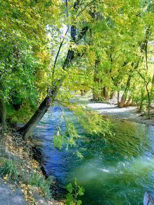 High Adventure Park photo 3