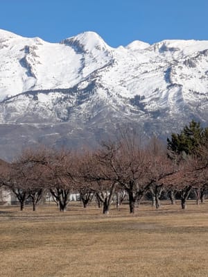 Highland Trails Park photo 2