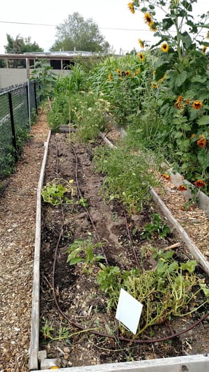 Hillsdale Park photo 2