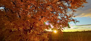 Hooper Landings Park