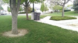 Hunter Ridge Park photo 3