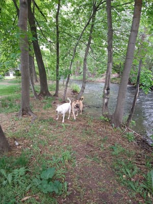 Jens Johansen Park photo 3