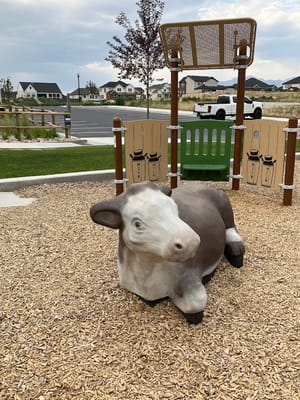 Jenson Farm Park photo 2