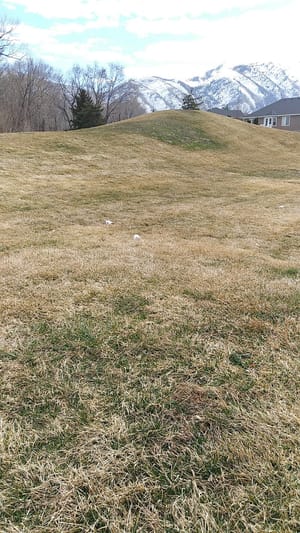 Jesse Taylor Park photo 2