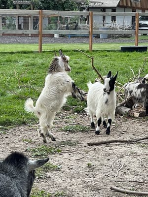 Jordan River Parkway Crossing