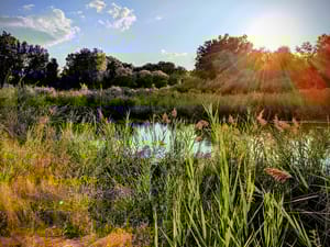 Kennecott Nature Center of Murray photo 3