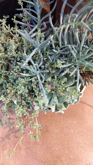 Kestrel Park photo 3