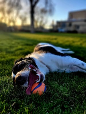 Kilowatt Park photo 3