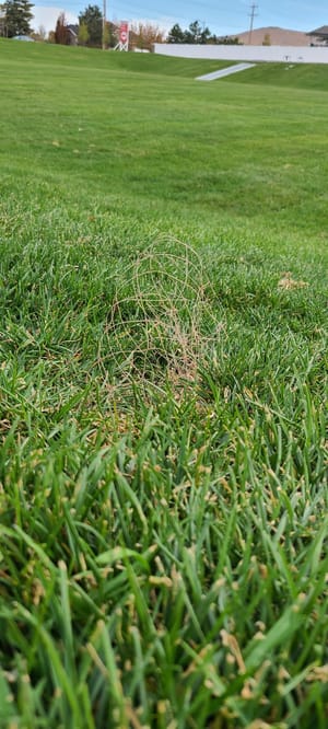 L & L Hamilton Park photo 3