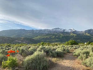 Lambert Park photo 2