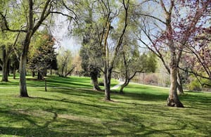 Layton Commons Park photo 2