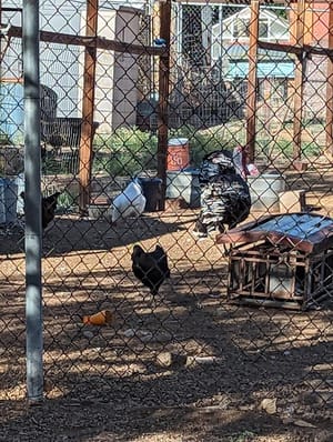 Leeds City Park photo 3