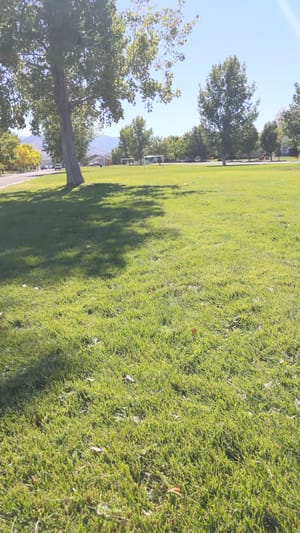 Linear Park photo 2
