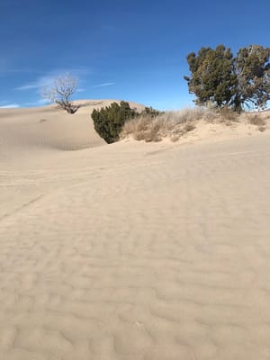 Little Sahara Recreation Area photo 2