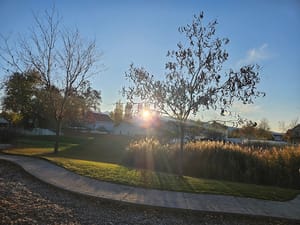 Logan Meadows Park photo 2