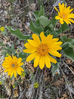 Lower City Creek Nature Park photo 3