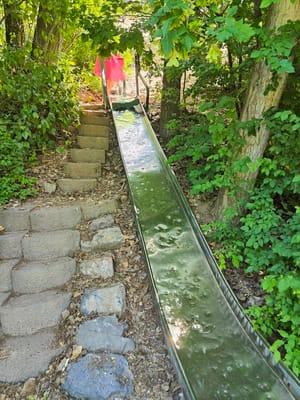 Lower Lion's Park photo 2