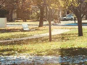 Lynn and Merle Olsen Park photo 2