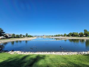 Manila Creek Park photo 3