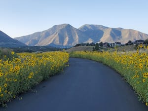 Mapleton Walking Path photo 1
