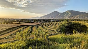 Mapleton Walking Path photo 2