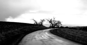 Mapleton Walking Path photo 3