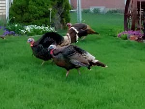 Mary E. Christensen Park photo 3