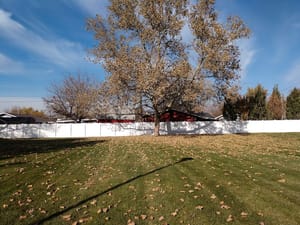 Mathis Memorial Park photo 3