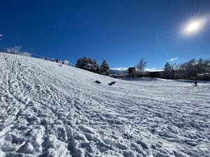 McIntyre Park photo 2