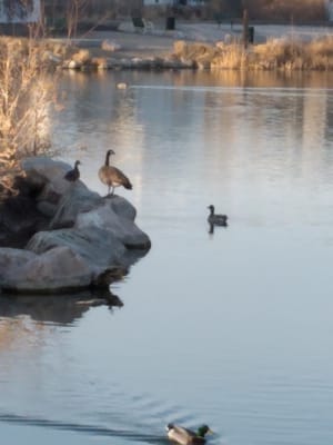 Meadow Creek Village Park