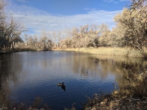 Mehraban Wetland Park photo 3